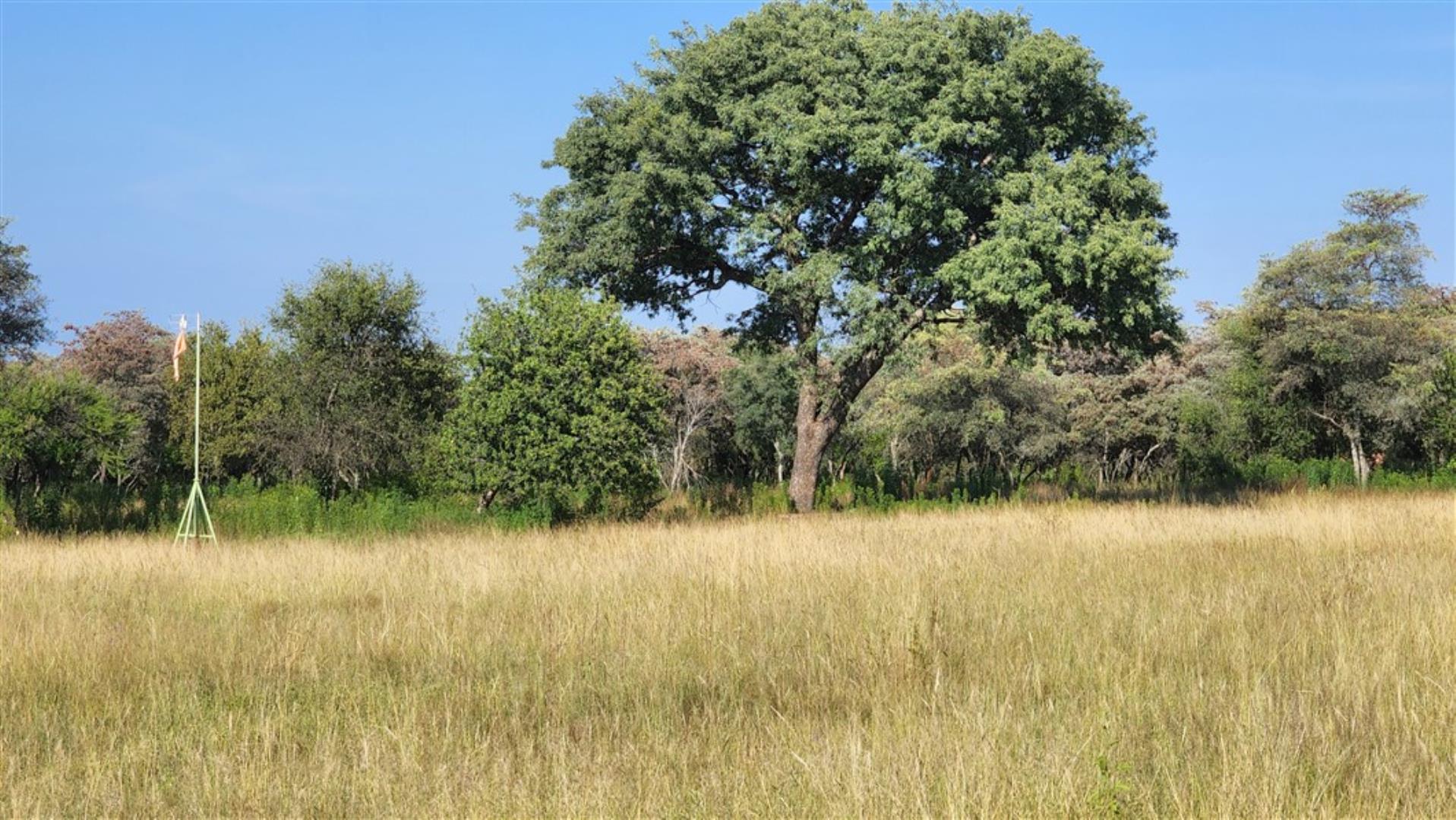 609522_17_ha_Farm_Modimolle_(20).jpg