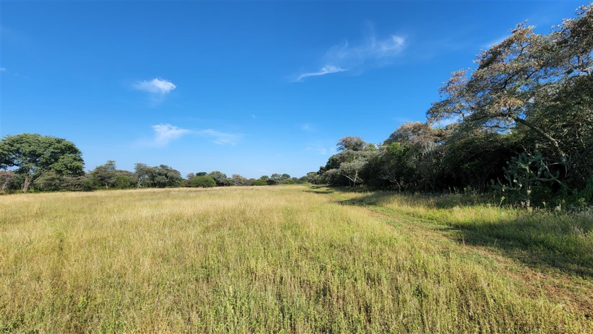 609522_17_ha_Farm_Modimolle_(21).jpg