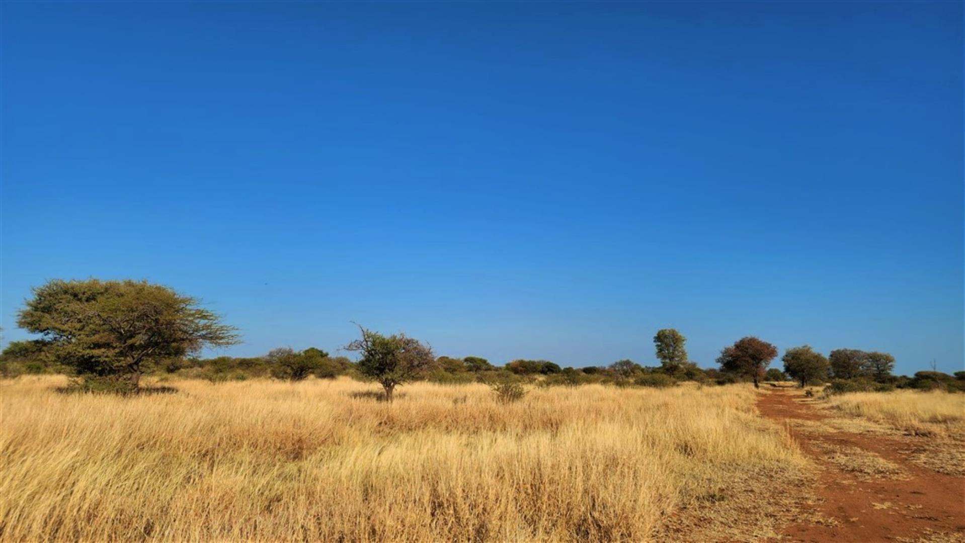 712310_Bushveld_1.jpg