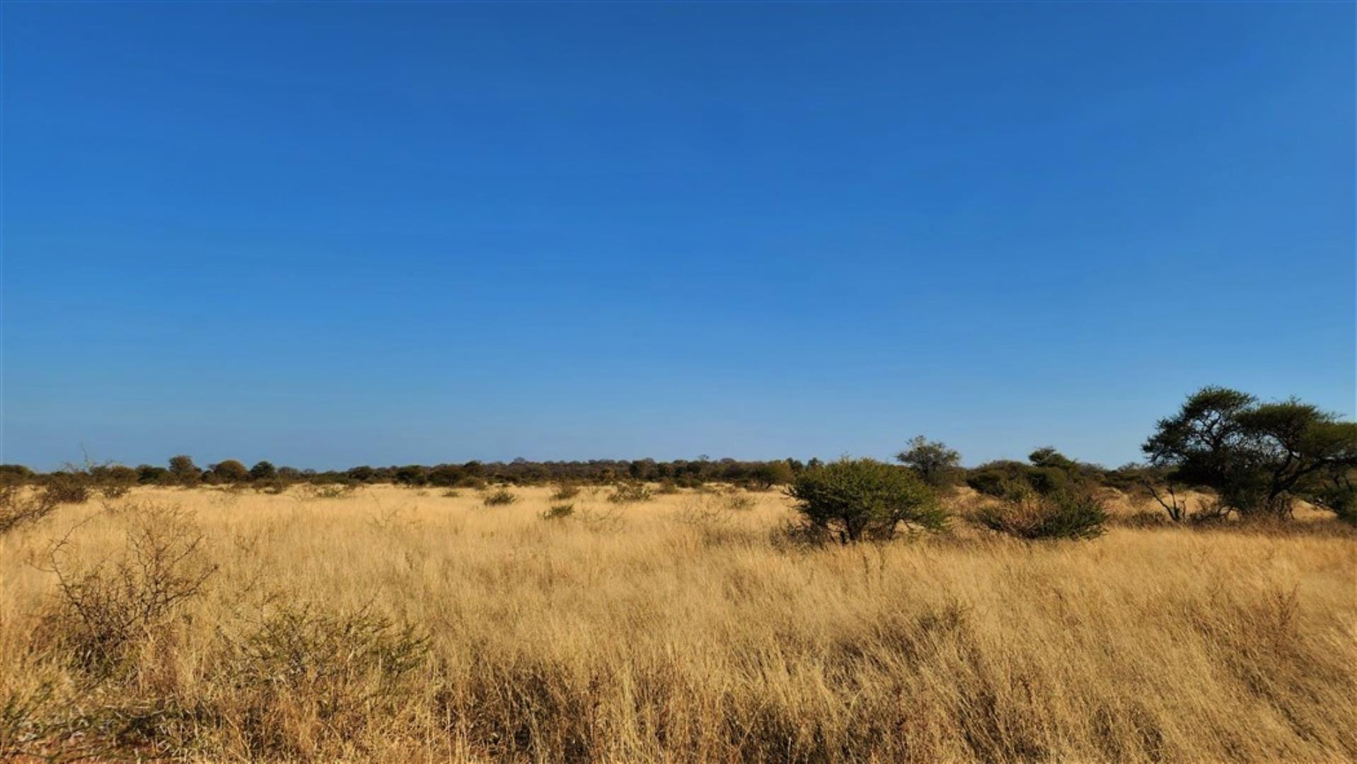 712310_Bushveld_2.jpg