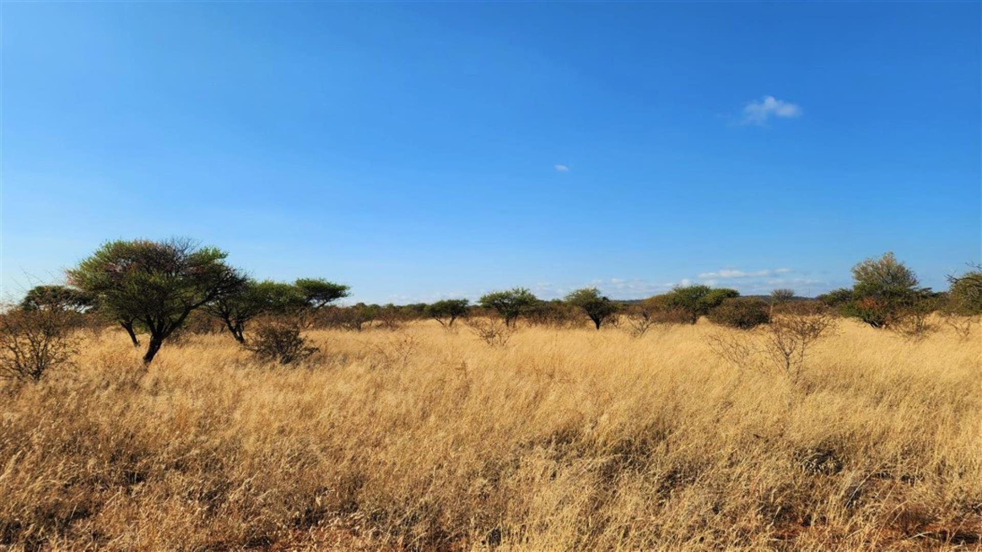 712310_Bushveld_3.jpg