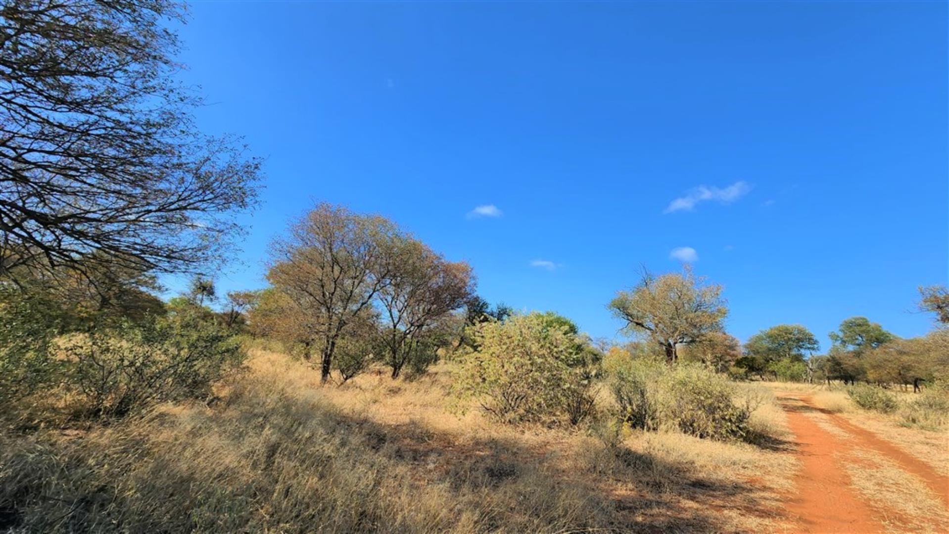 712310_Bushveld_5.jpg