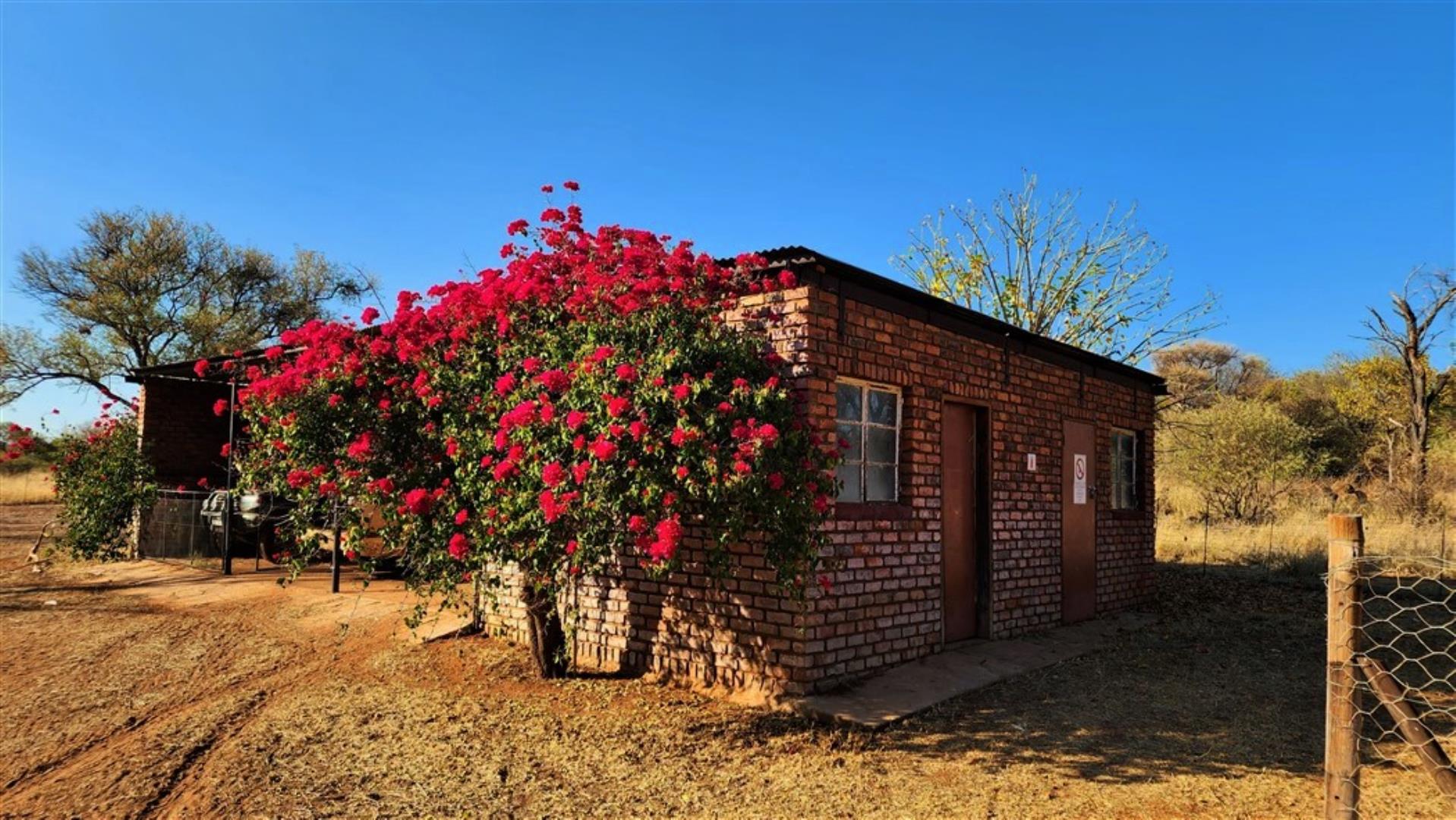 712310_Carport_and_storerooms.jpg