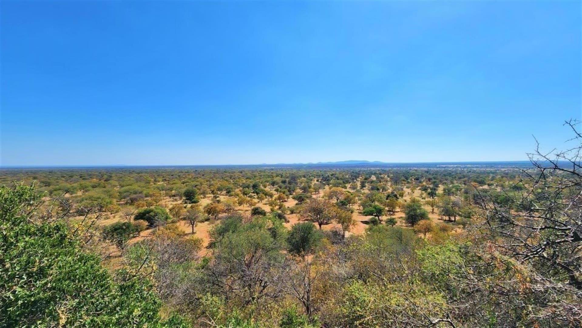 12 Bedroom Game Farm or Lodge for Sale - Limpopo