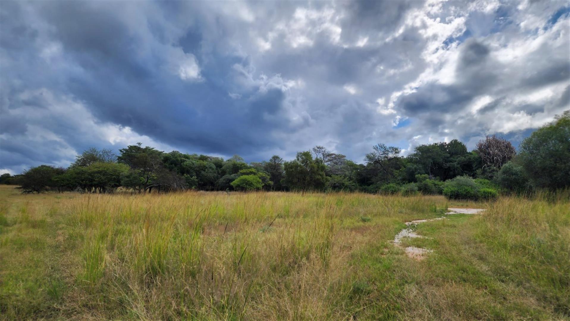 715586_Bushveld_1ab.jpg
