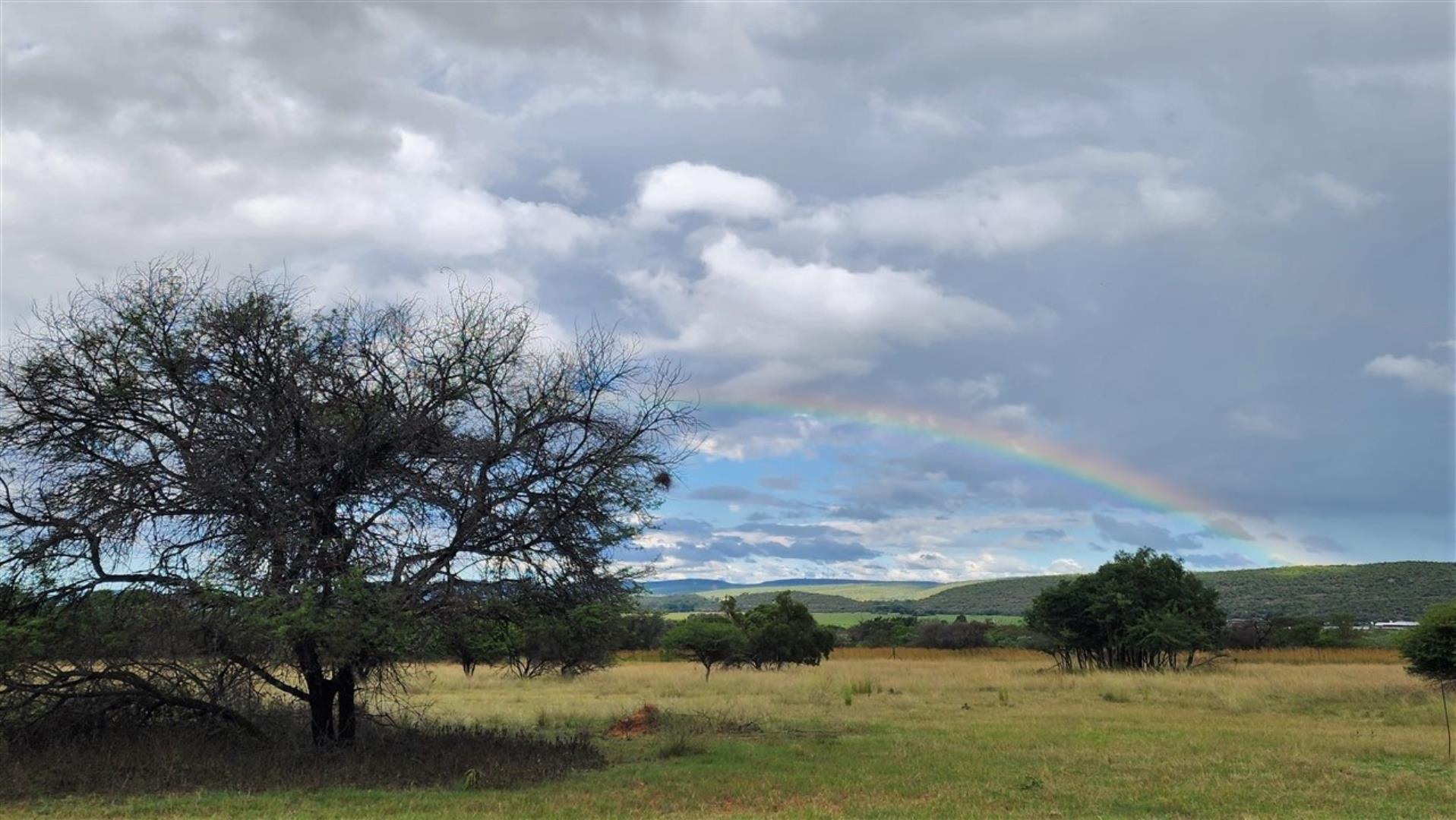 715586_Bushveld_1ab_rainbow_.jpg