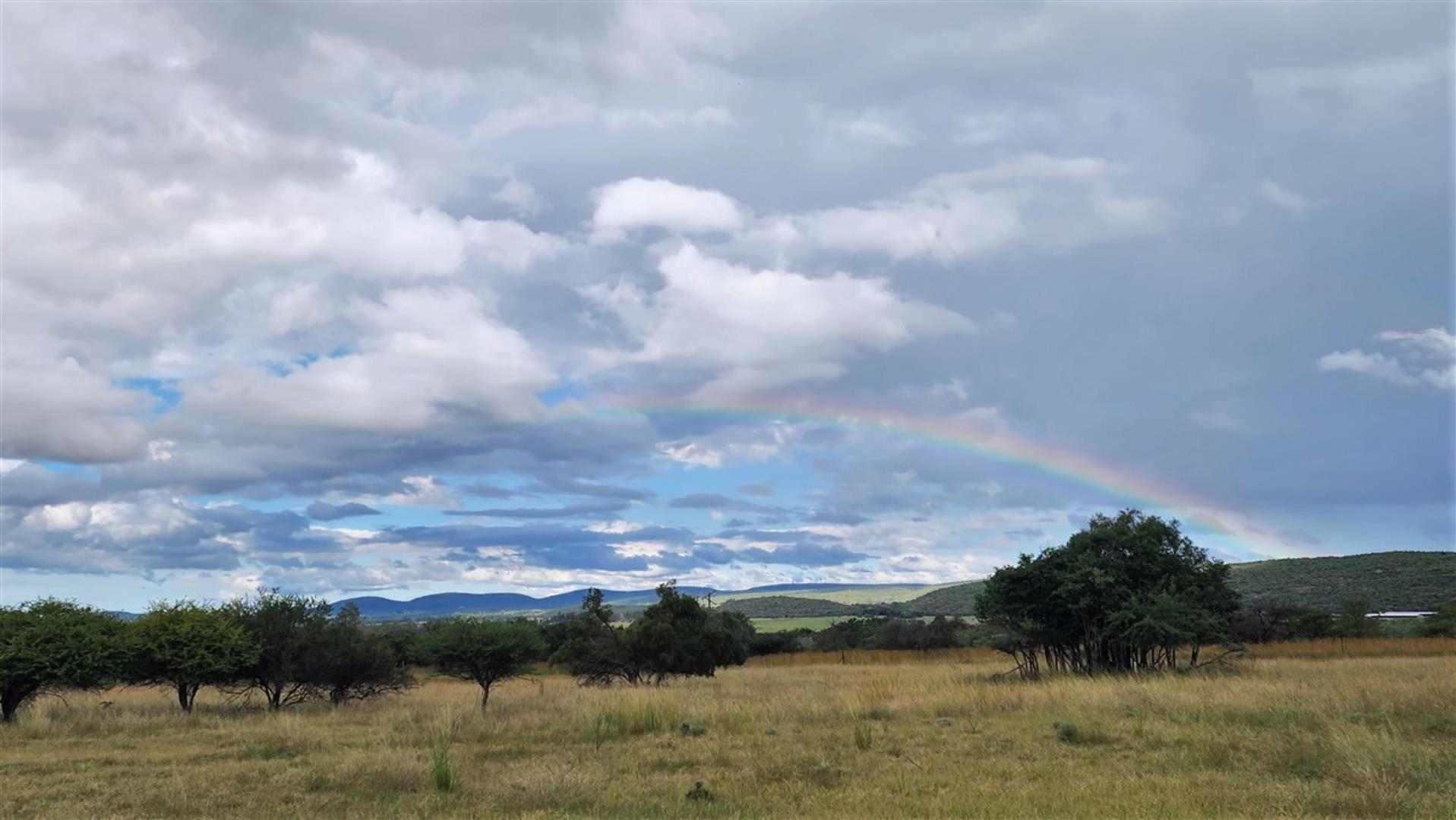 715586_Bushveld_1abc_rainbow_.jpg