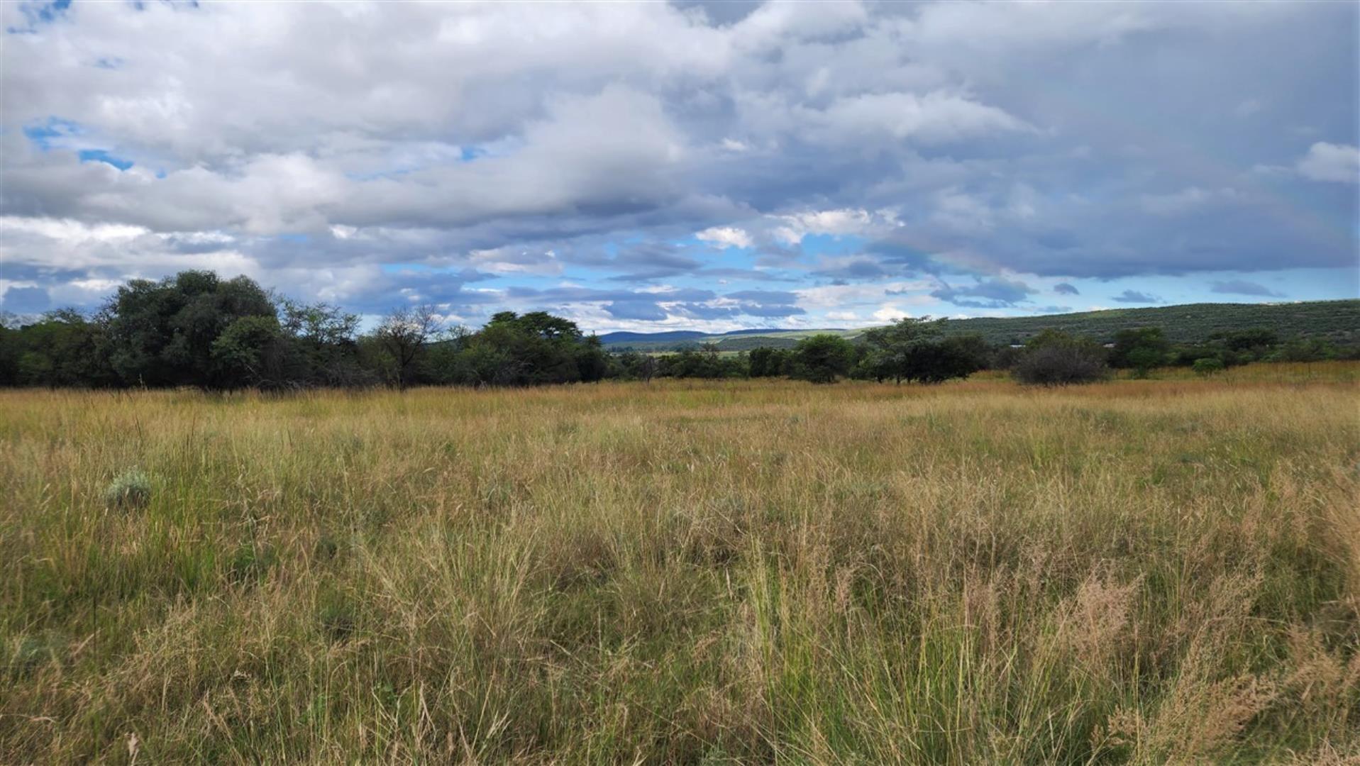 715586_Bushveld_1abcd.jpg