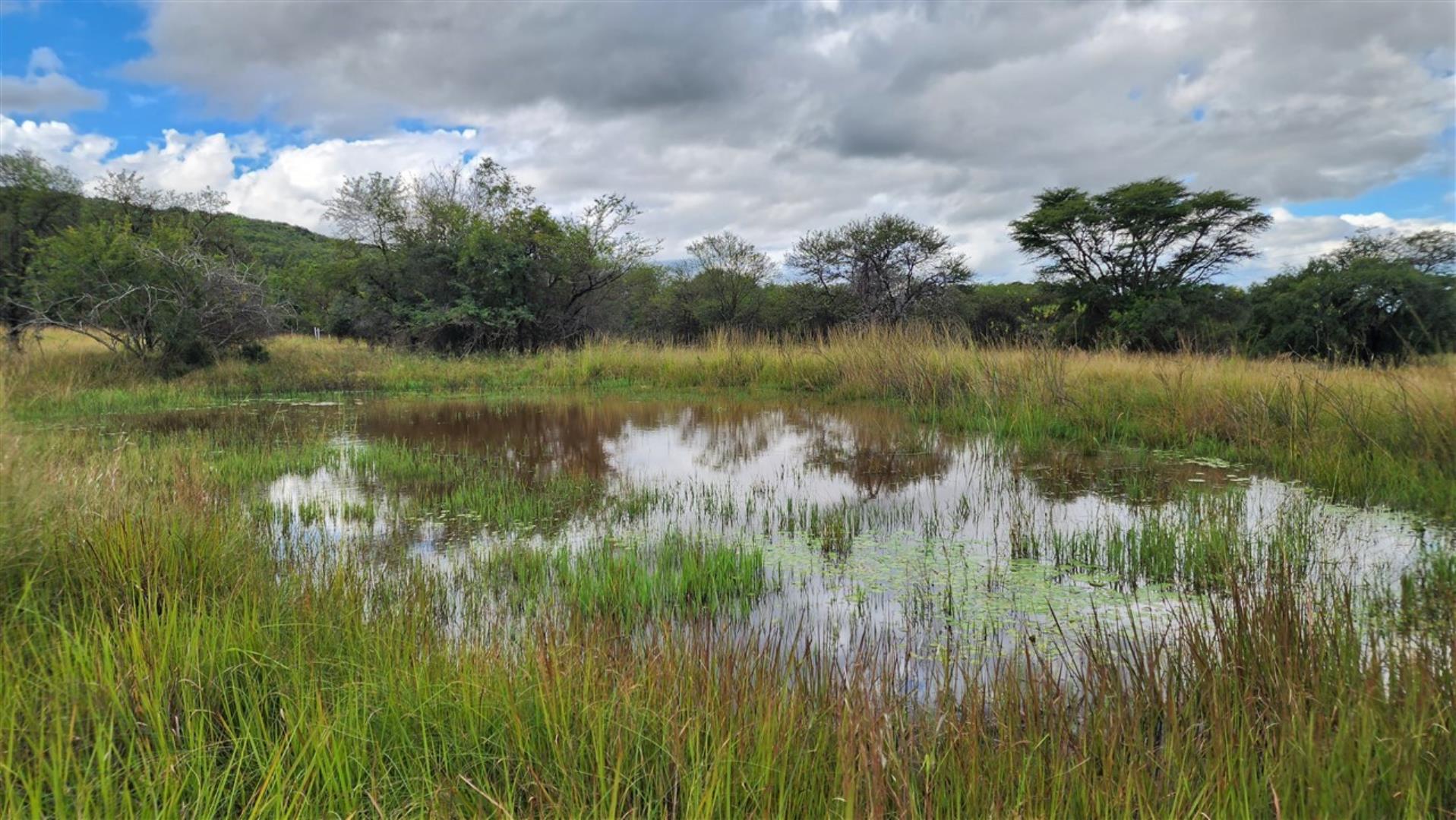715586_Bushveld_Dam_b.jpg