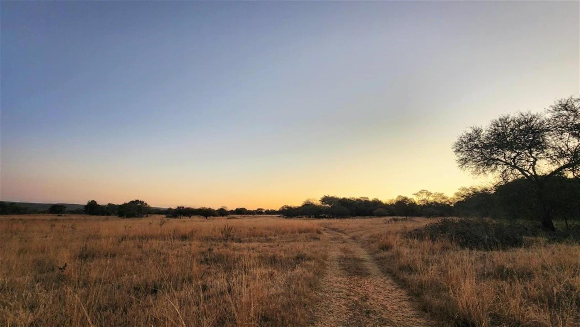 715586_Bushveld_Sunset_1.jpg