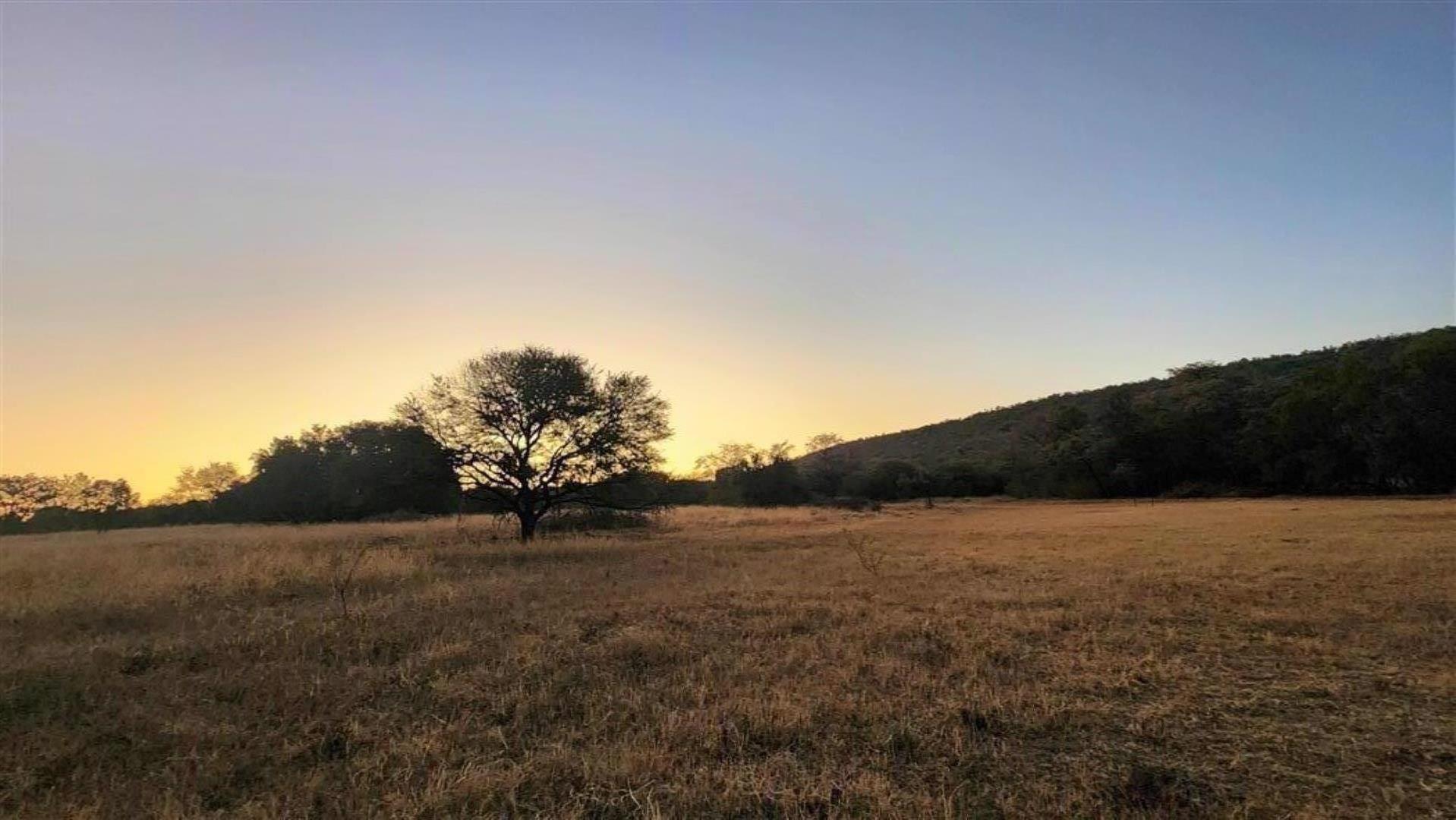 715586_Bushveld_Sunset_2.jpg