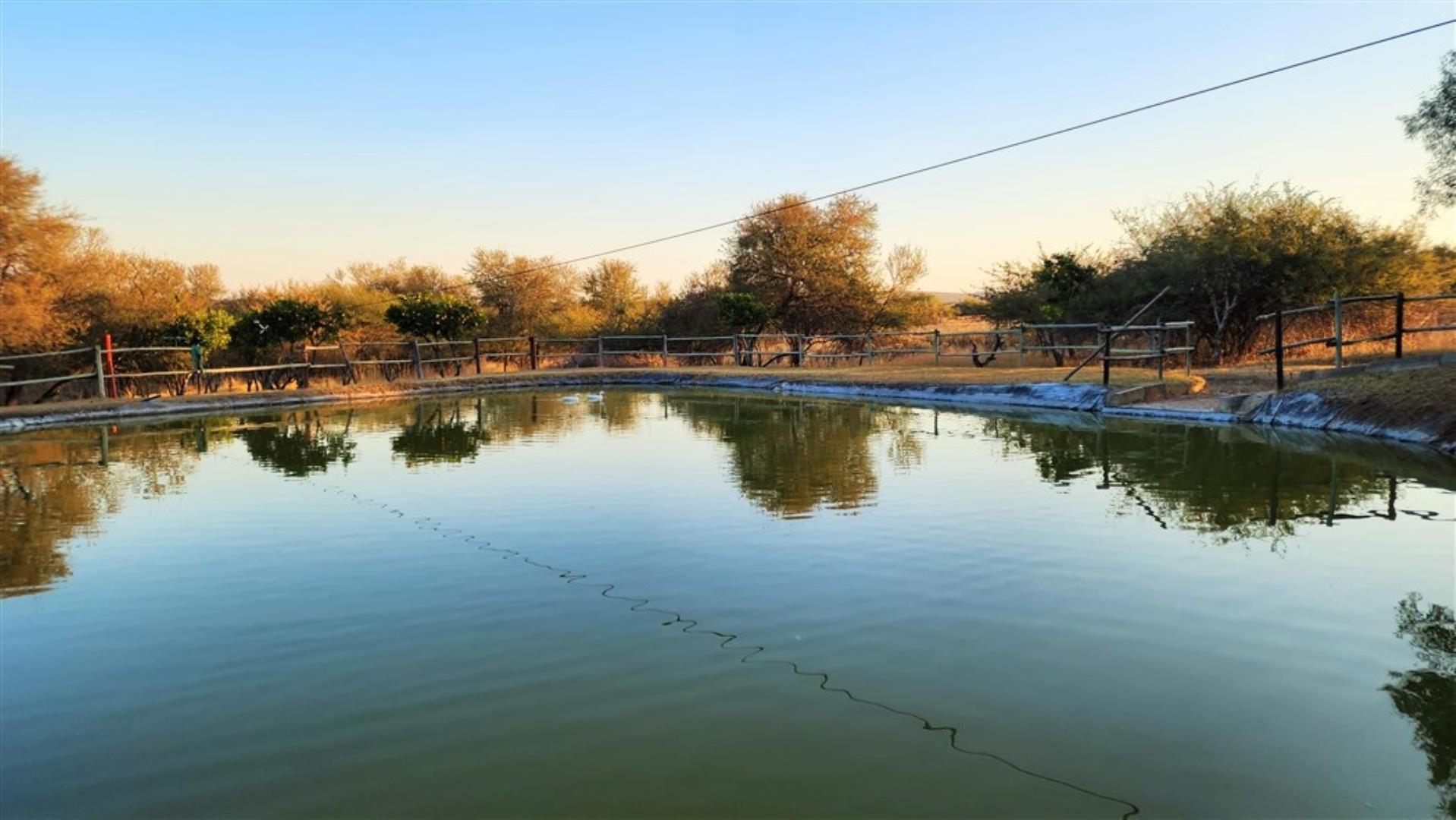715586_Pond_2.jpg