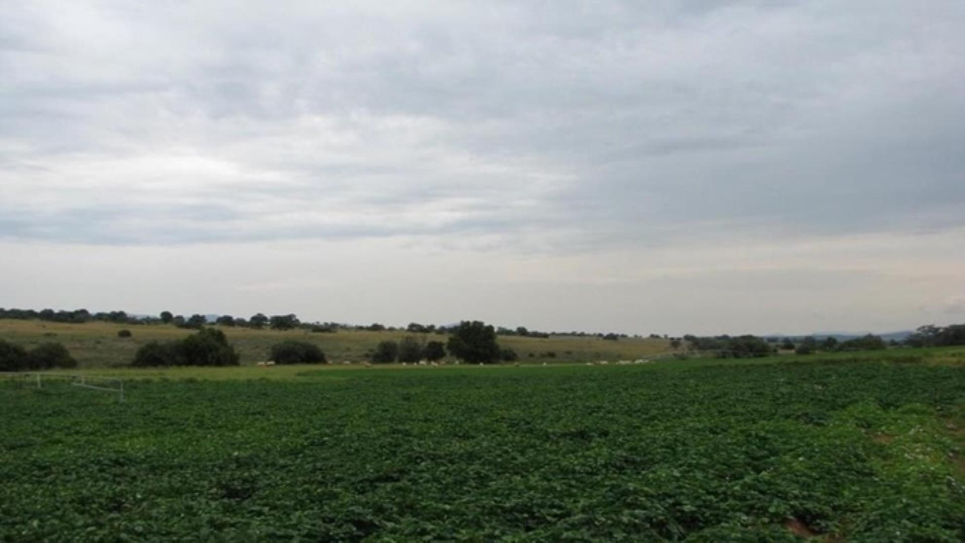 727504_335ha_Irrigation_Farm_combination_Farm_for_sale_(101).jpg