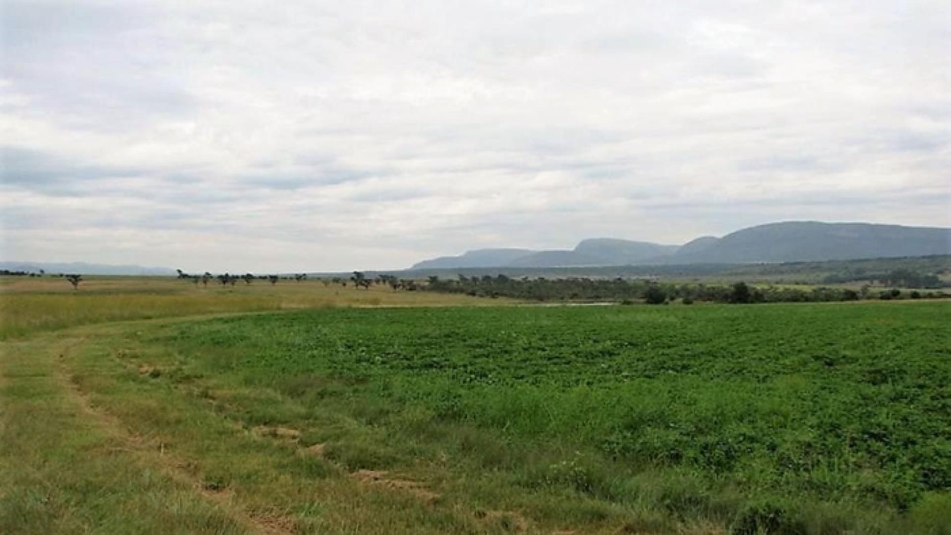 727504_335ha_Irrigation_Farm_combination_Farm_for_sale_(19).jpg