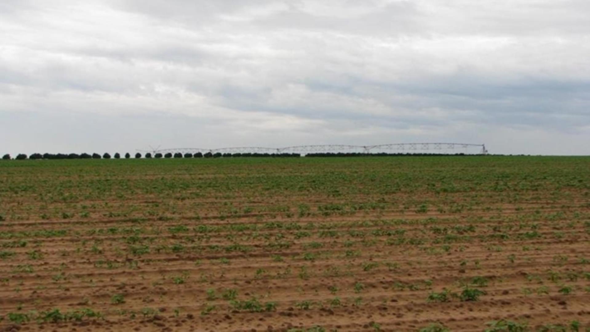 727504_335ha_Irrigation_Farm_combination_Farm_for_sale_(23).jpg