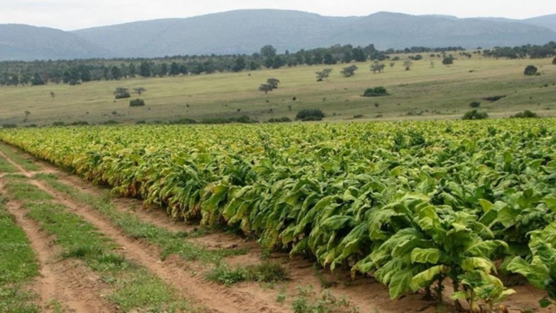 727504_335ha_Irrigation_Farm_combination_Farm_for_sale_(26).jpg