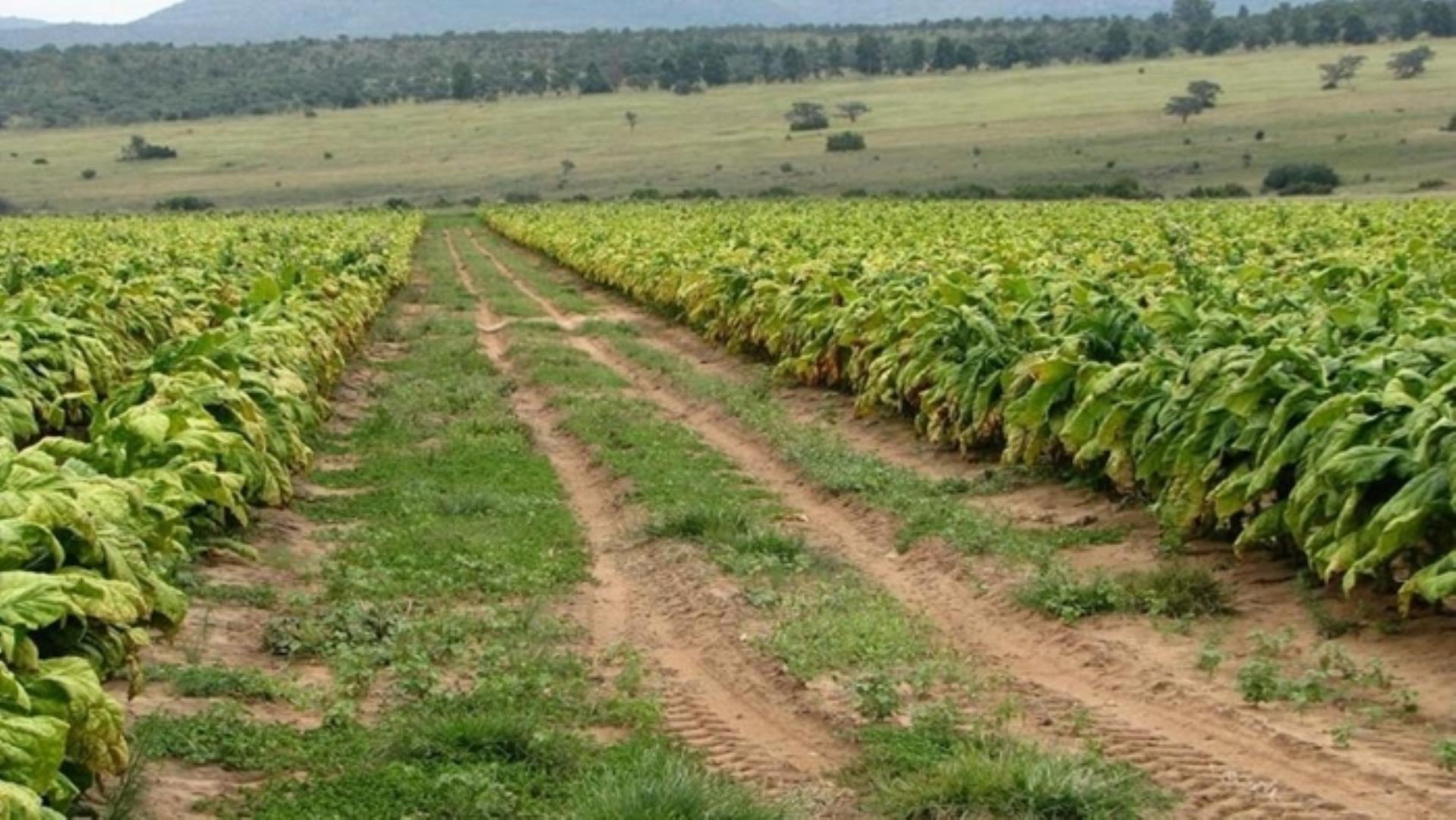 727504_335ha_Irrigation_Farm_combination_Farm_for_sale_(27).jpg