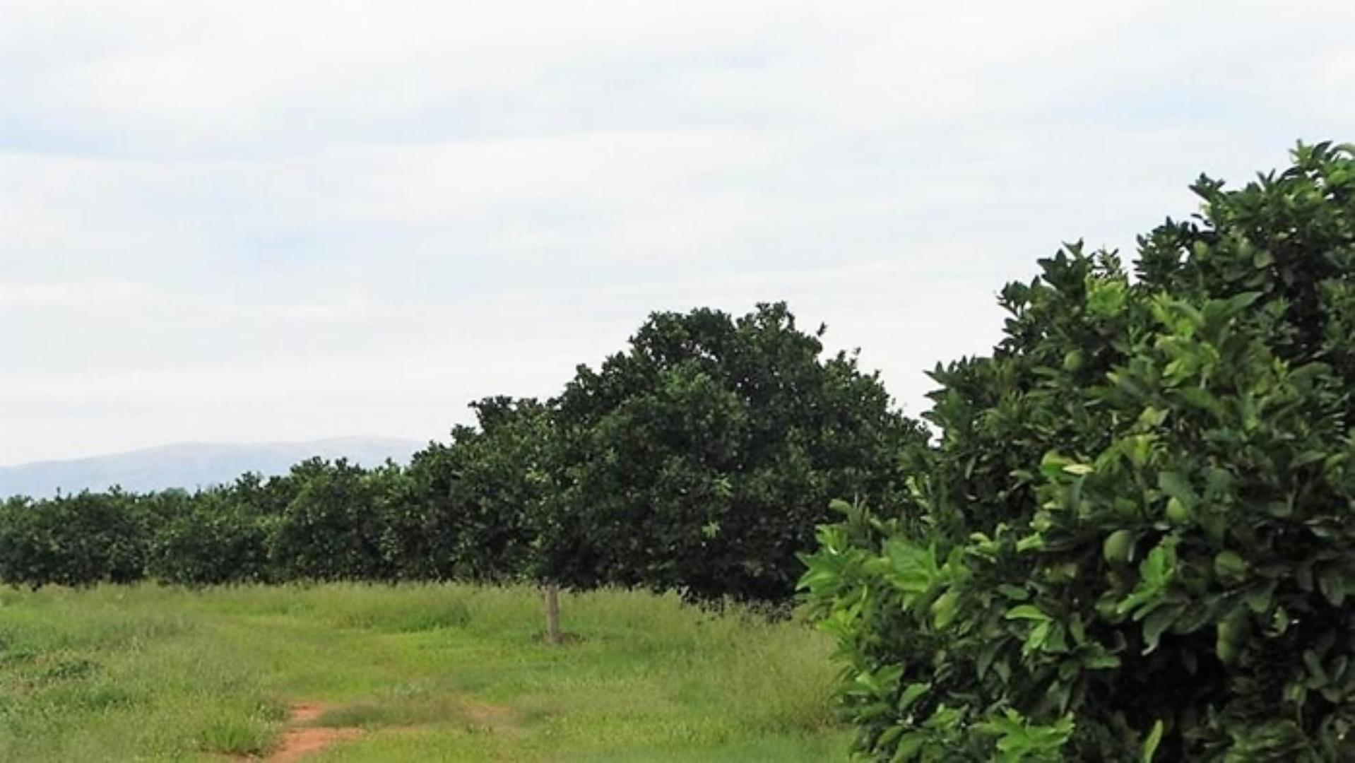 727504_335ha_Irrigation_Farm_combination_Farm_for_sale_(29).jpg