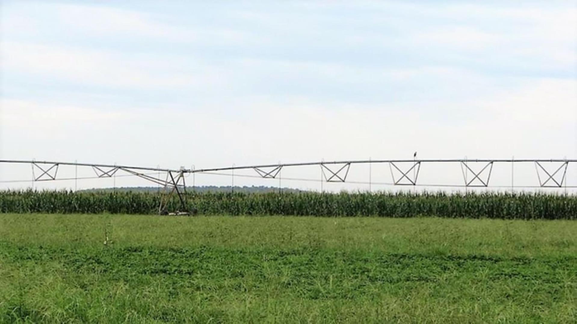 727504_335ha_Irrigation_Farm_combination_Farm_for_sale_(36).jpg