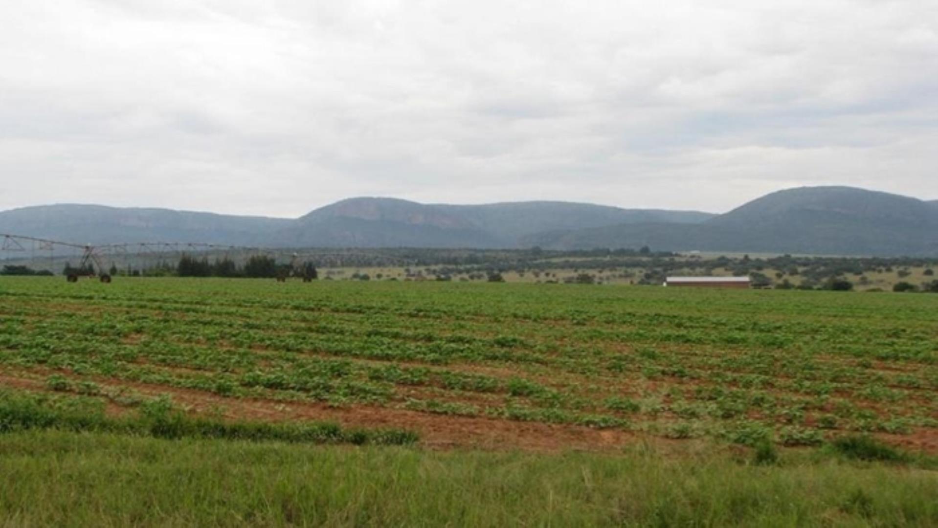 727504_335ha_Irrigation_Farm_combination_Farm_for_sale_(63).jpg
