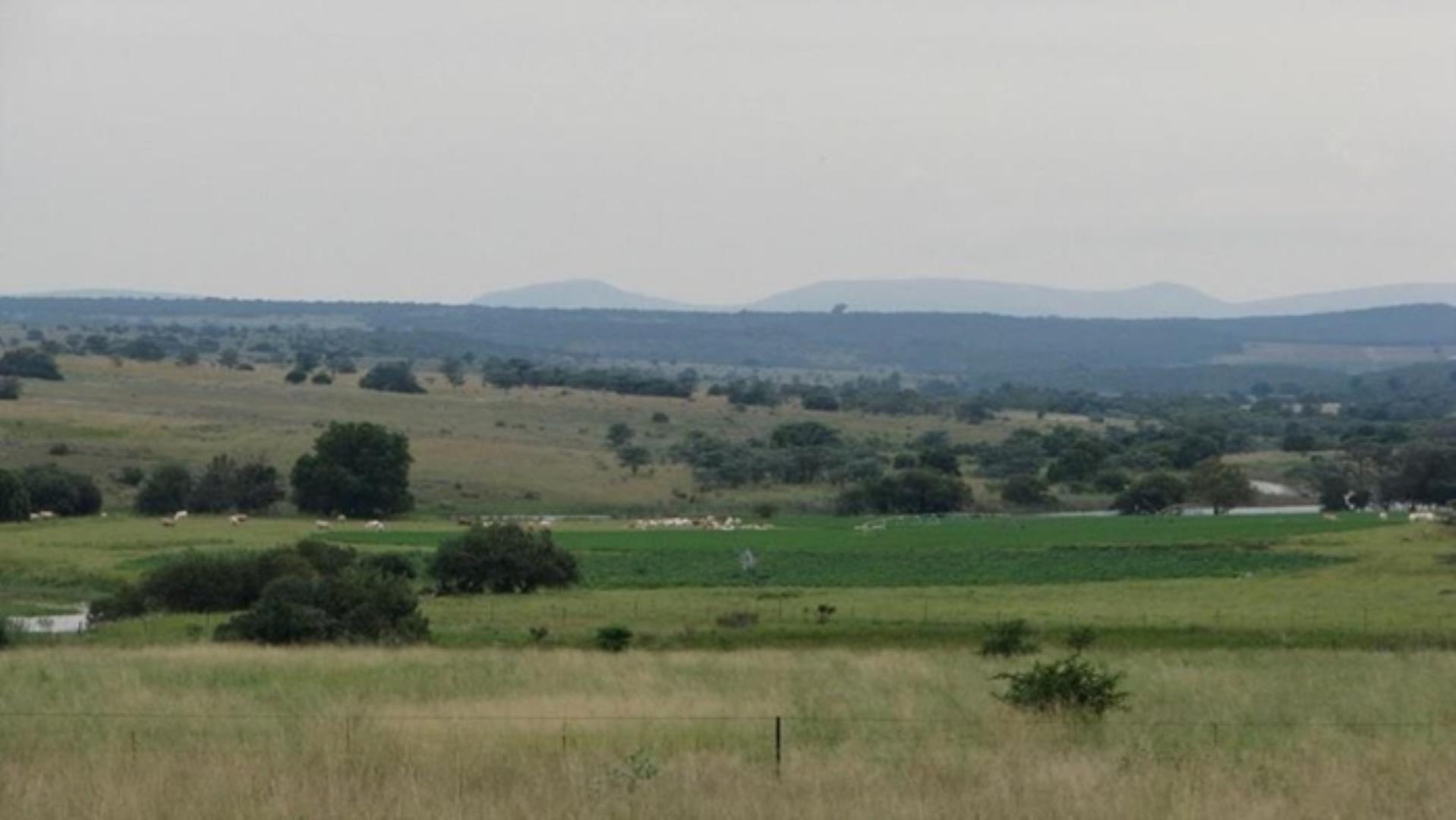 727504_335ha_Irrigation_Farm_combination_Farm_for_sale_(65).jpg