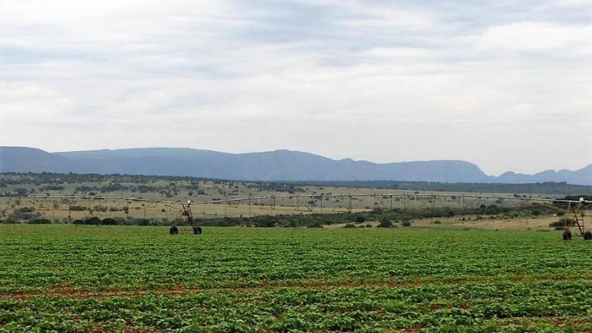 727504_335ha_Irrigation_Farm_combination_Farm_for_sale_(66).jpg