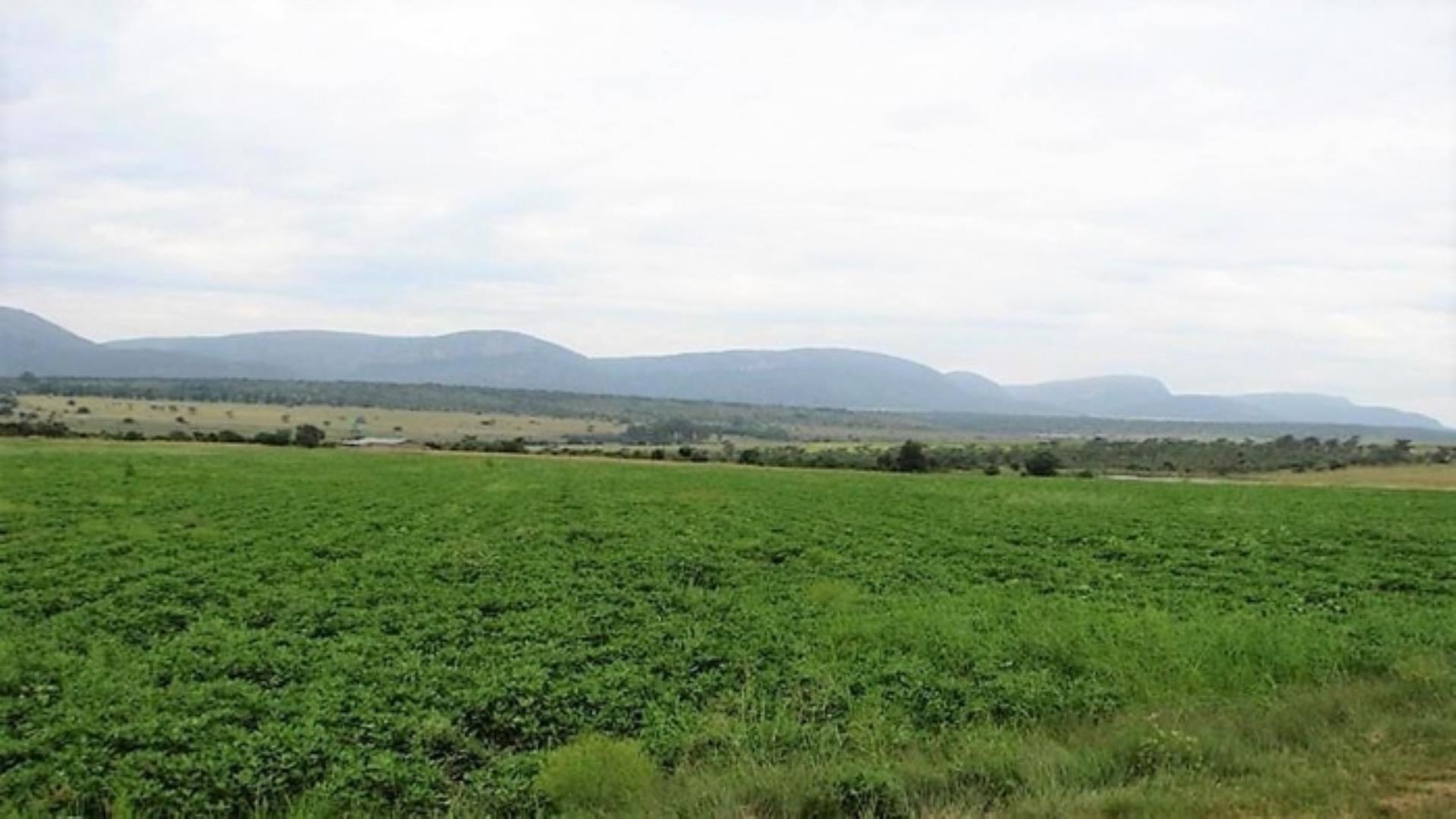727504_335ha_Irrigation_Farm_combination_Farm_for_sale_(80).jpg