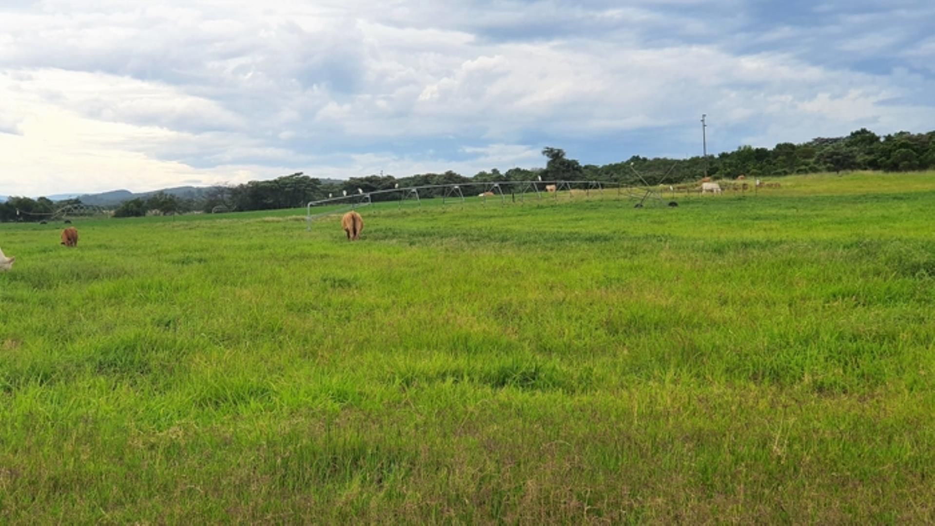 727504_335ha_Irrigation_Farm_combination_Farm_for_sale_(9).jpg