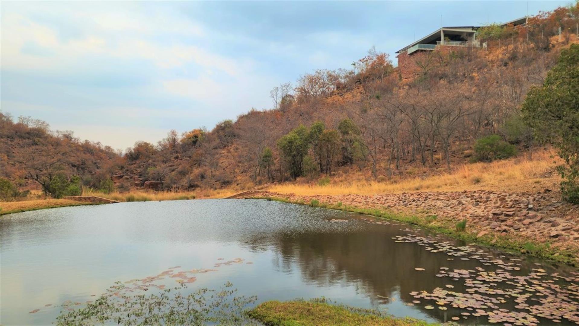 729229_Dam_to_House_View_.jpg