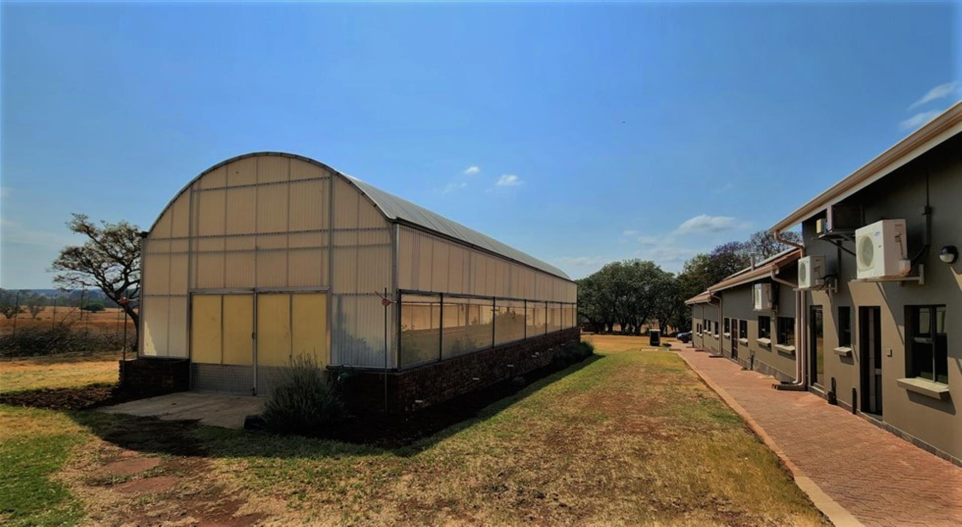 729229_Glass_house_-_tunnel.jpg