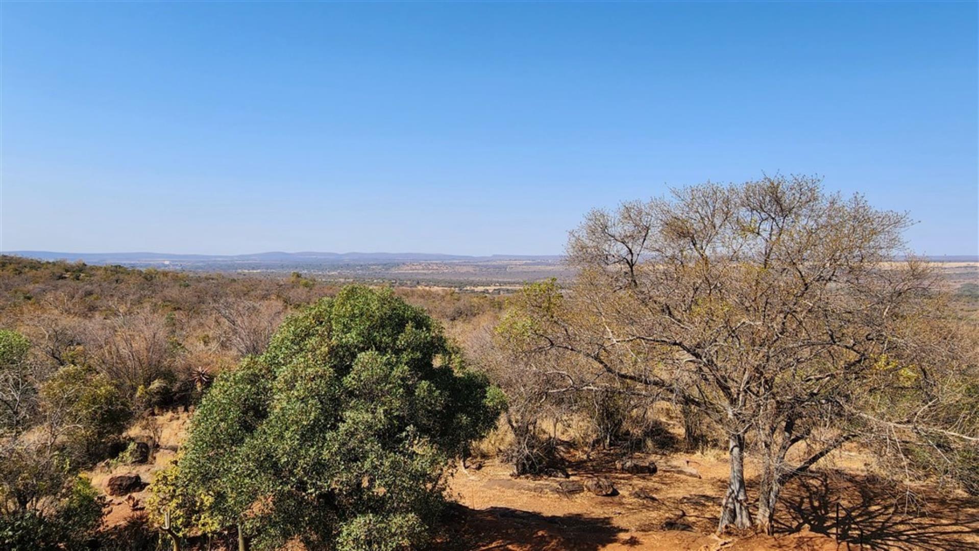 729529_Bushveld_1.jpg