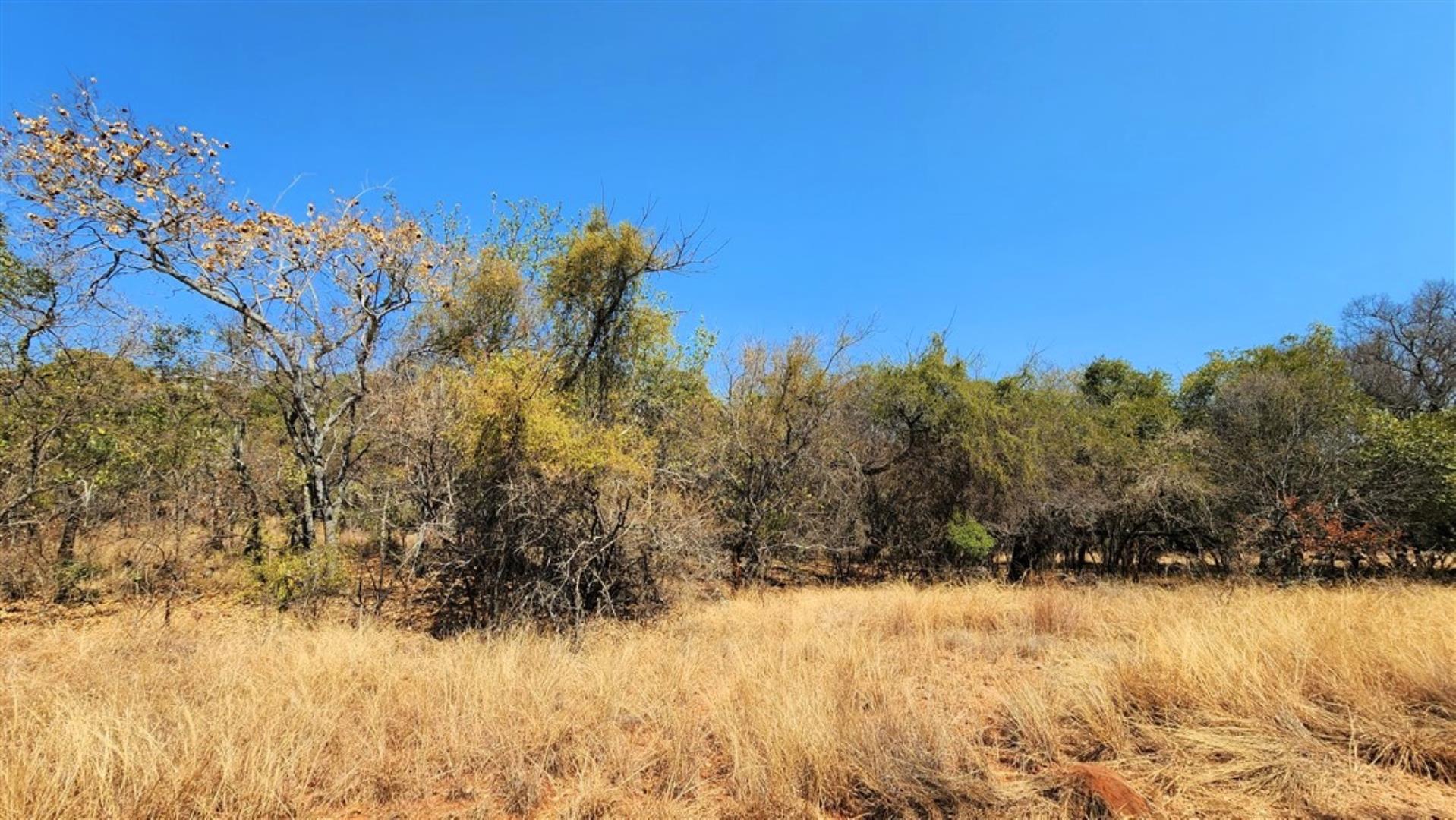 729529_Bushveld_3.jpg