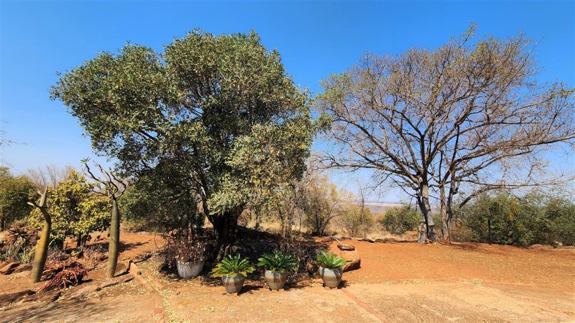 729529_Garden_View.jpg