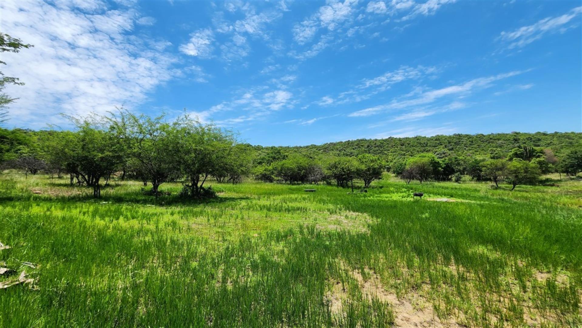 731548_Bushveld_1.jpg