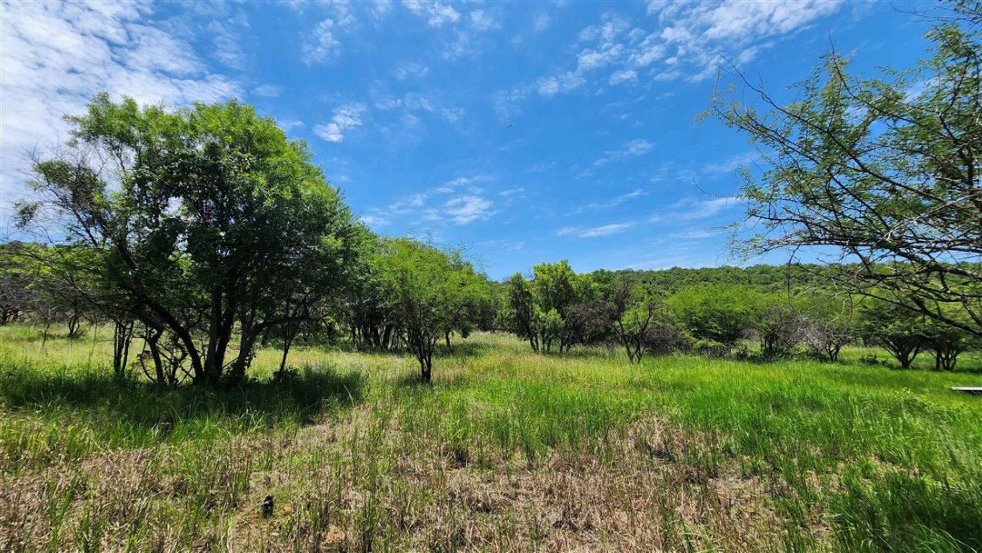 731548_Bushveld_3.jpg