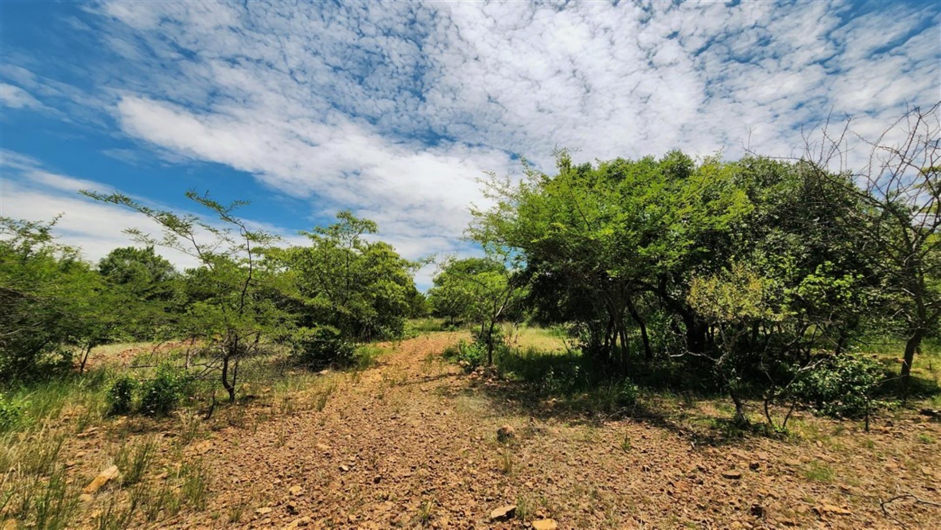 731548_Bushveld_4.jpg