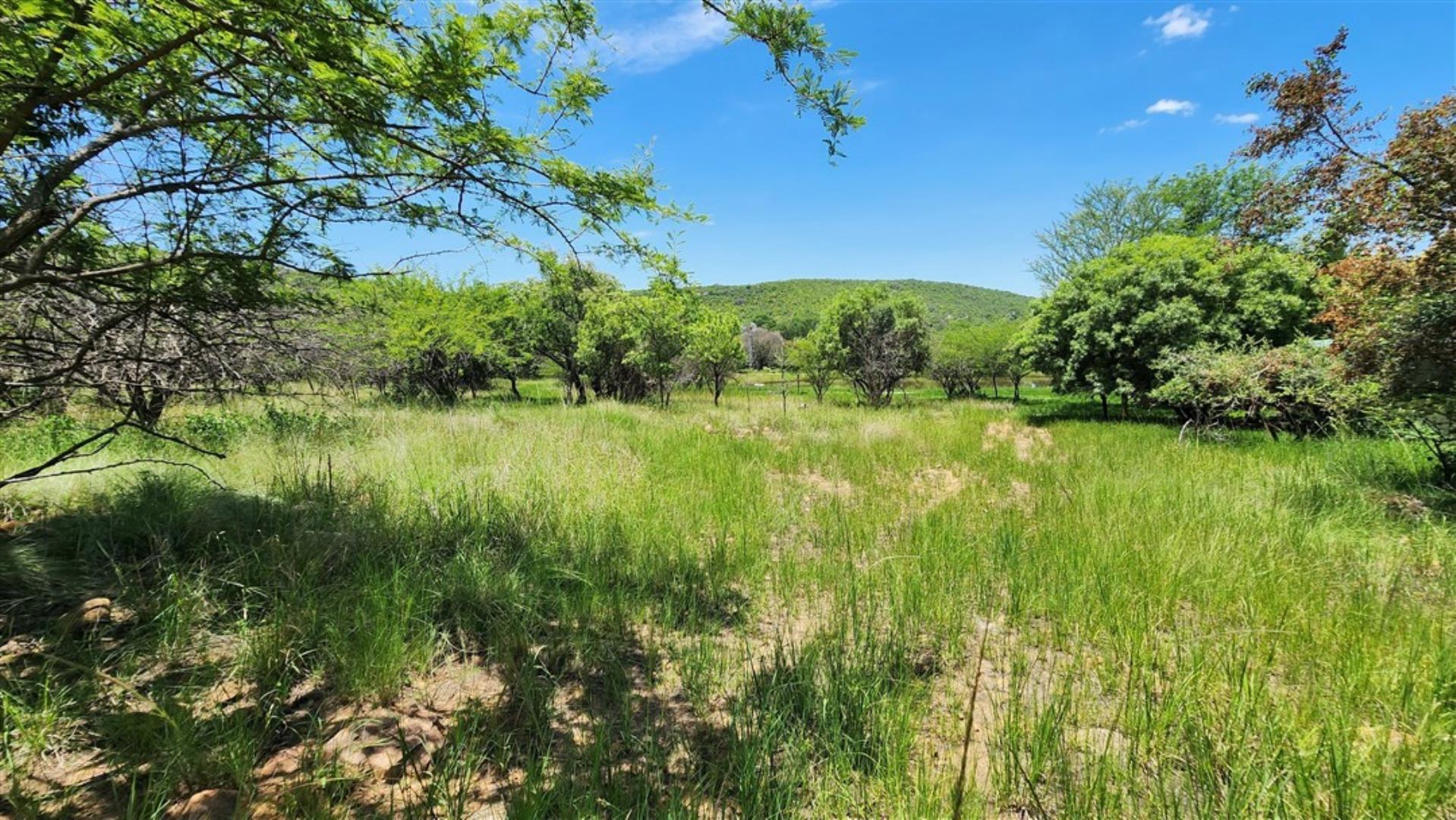 731548_Bushveld_5.jpg