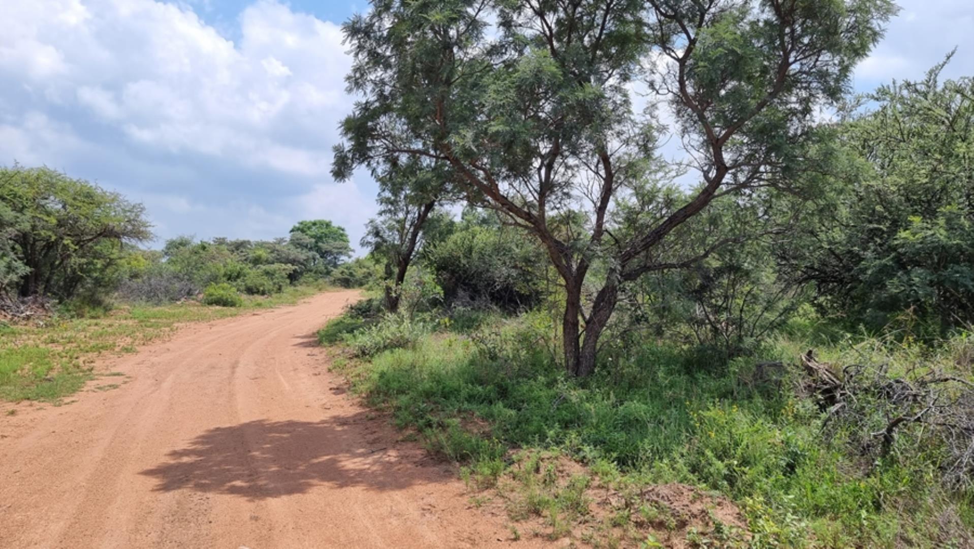 732043_664ha_Private_Game_farm_and_Lodge_within_a_Big_5_Game_Reserve_FOR_SALE_(22).jpg