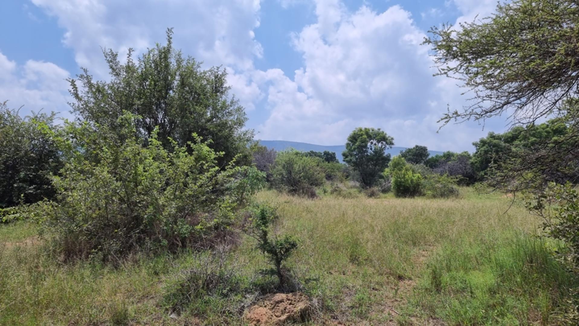 732043_664ha_Private_Game_farm_and_Lodge_within_a_Big_5_Game_Reserve_FOR_SALE_(24).jpg