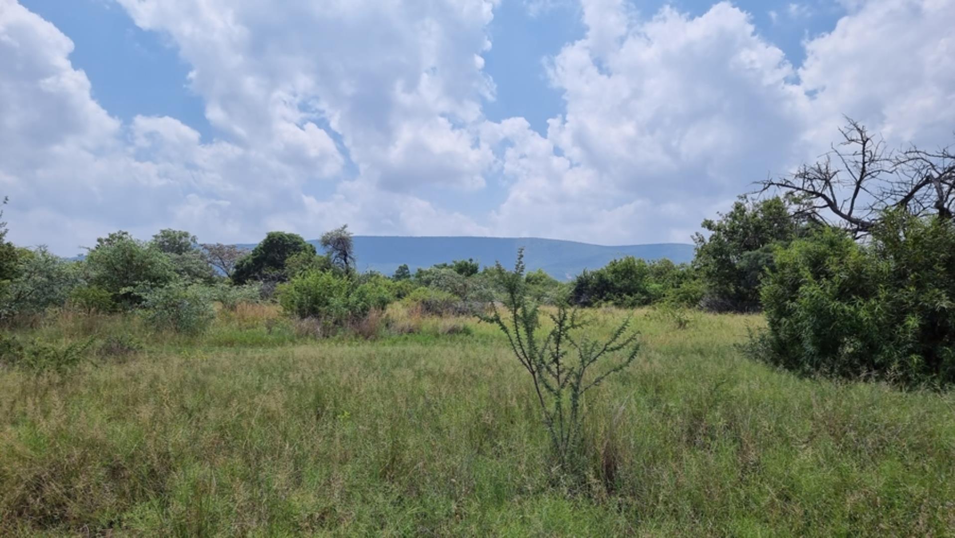 732043_664ha_Private_Game_farm_and_Lodge_within_a_Big_5_Game_Reserve_FOR_SALE_(25).jpg