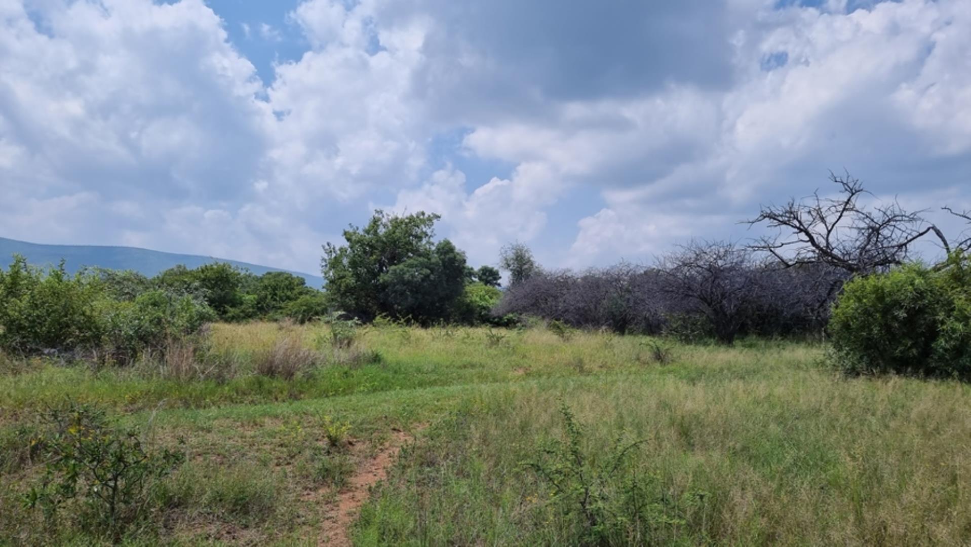 732043_664ha_Private_Game_farm_and_Lodge_within_a_Big_5_Game_Reserve_FOR_SALE_(26).jpg