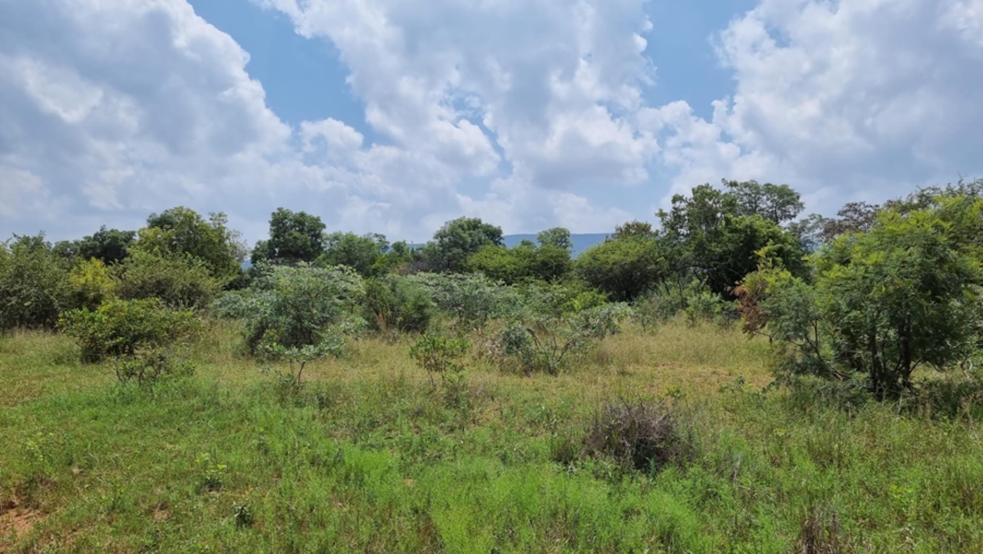 732043_664ha_Private_Game_farm_and_Lodge_within_a_Big_5_Game_Reserve_FOR_SALE_(27).jpg