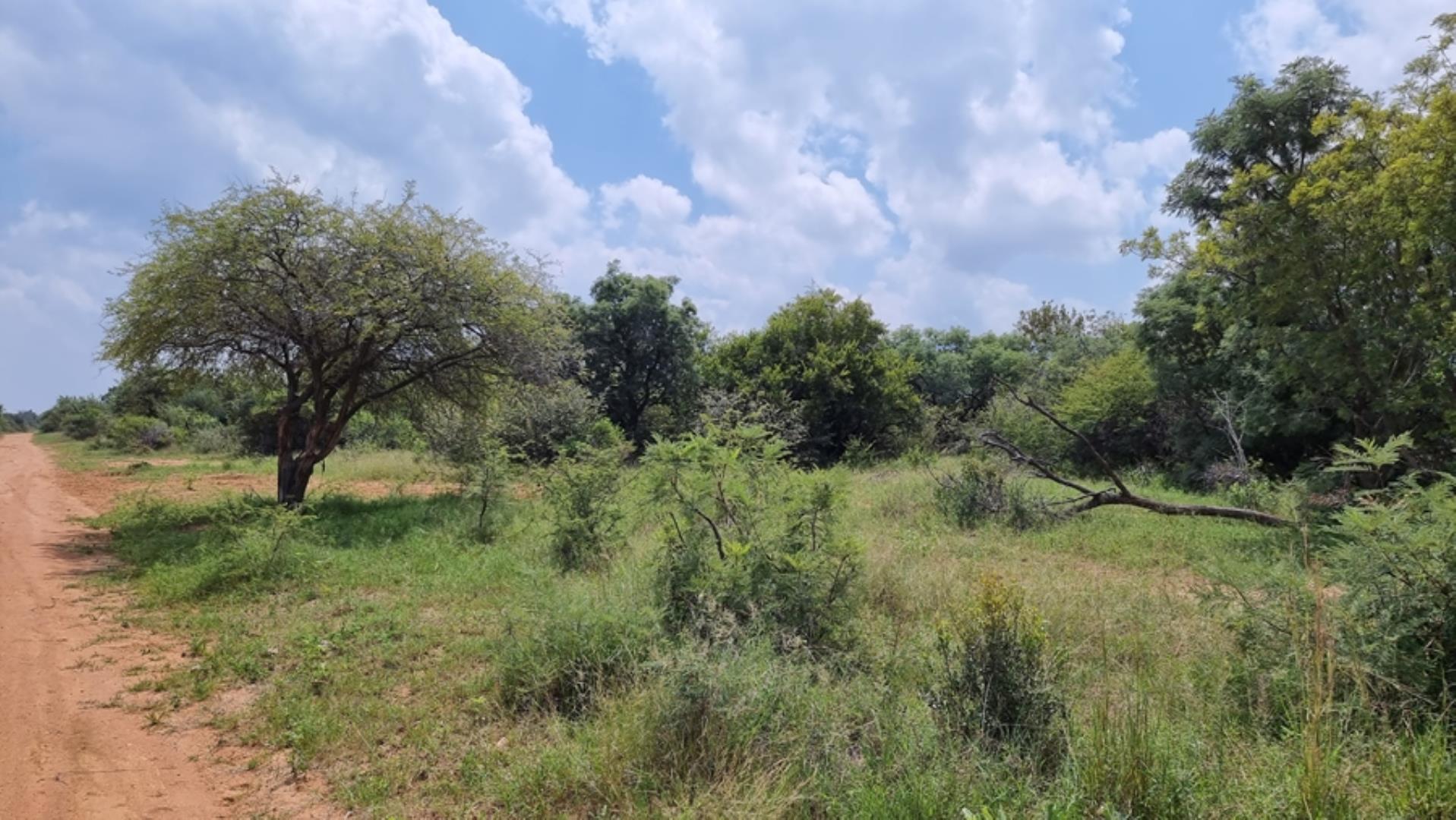 732043_664ha_Private_Game_farm_and_Lodge_within_a_Big_5_Game_Reserve_FOR_SALE_(28).jpg