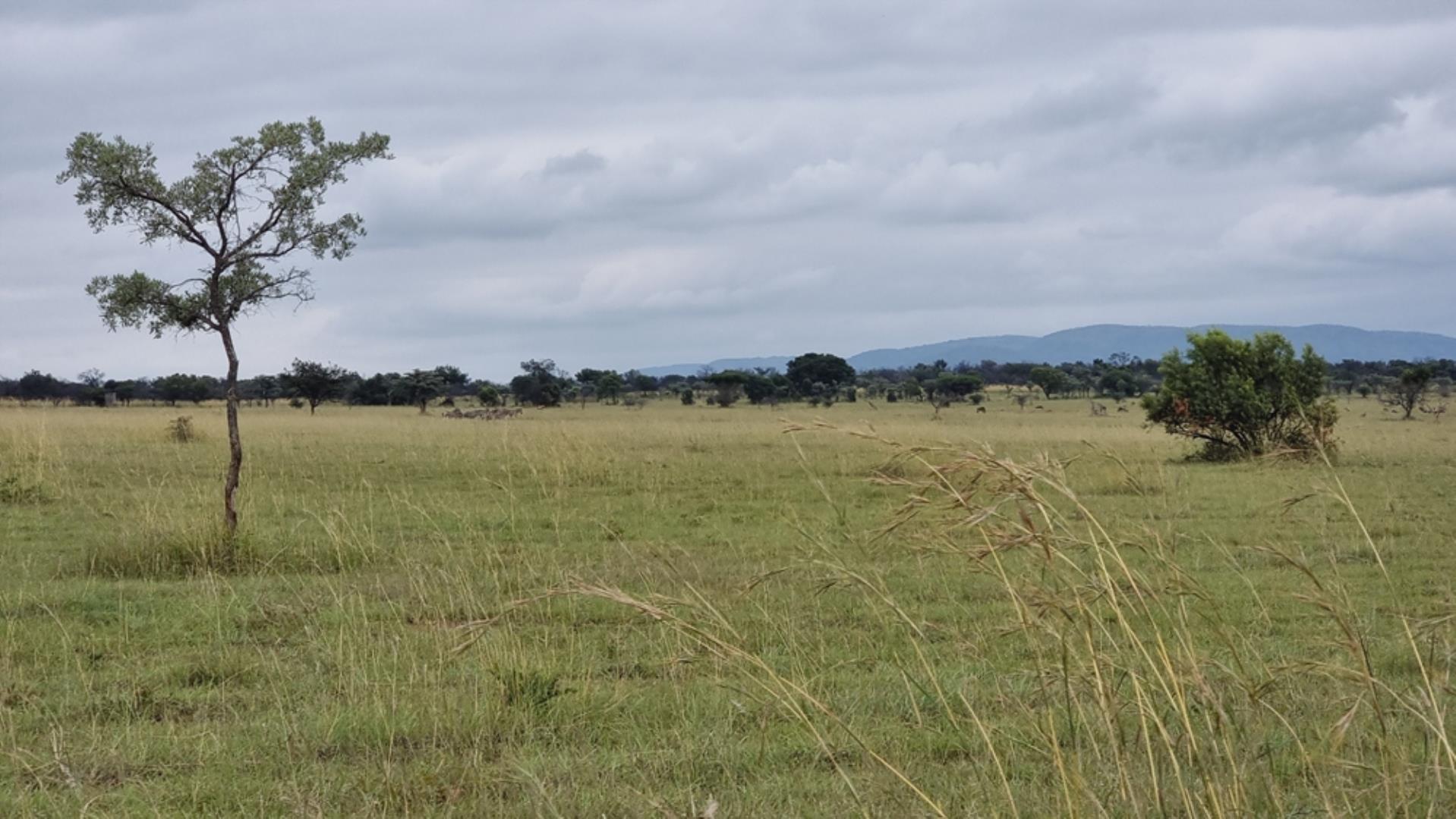 739697_Photo_565ha_Game__Hunting_and_Breeding_Farm_for_Sale_(116).jpeg