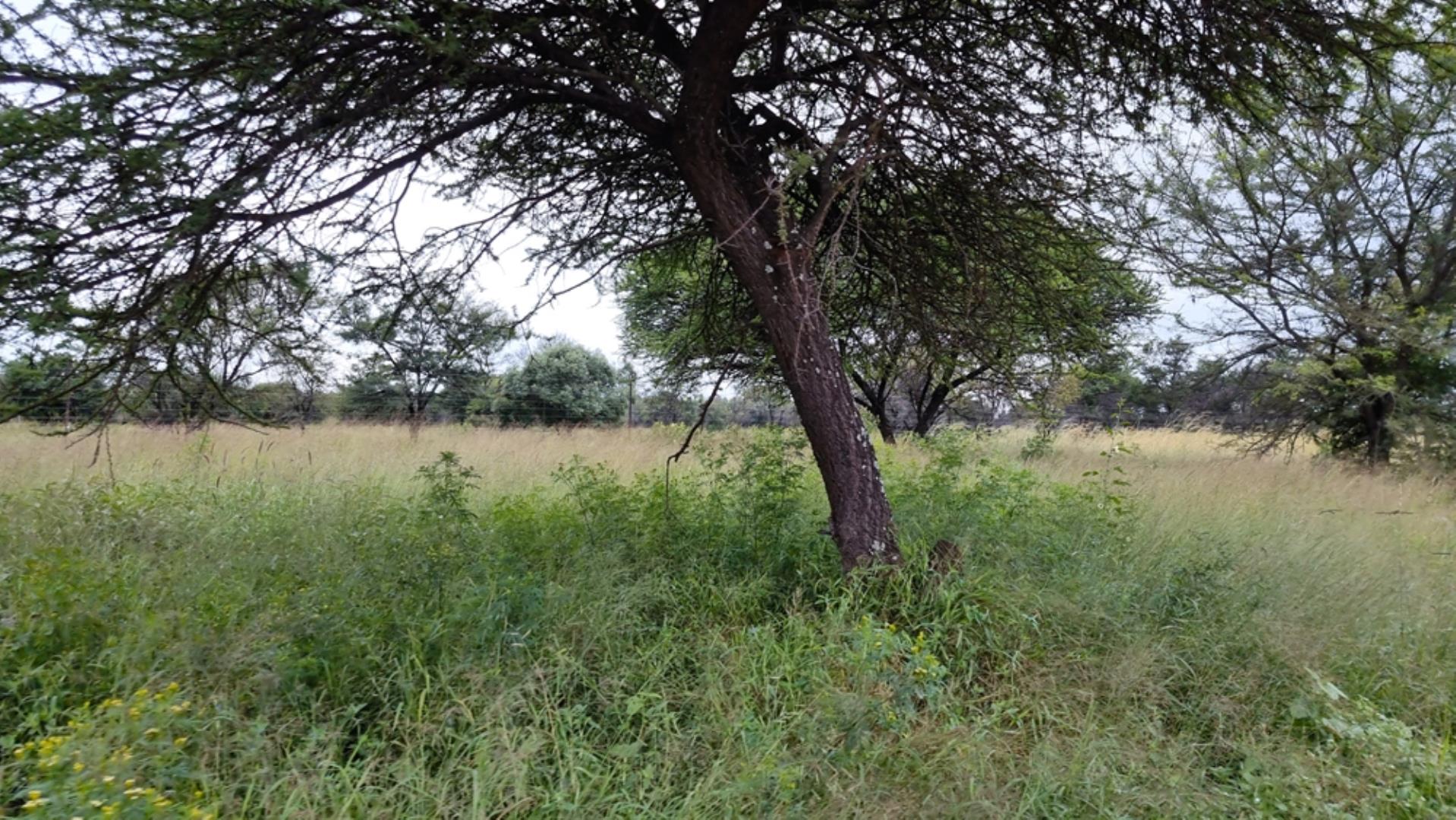 739697_Photo_565ha_Game__Hunting_and_Breeding_Farm_for_Sale_(91).jpeg