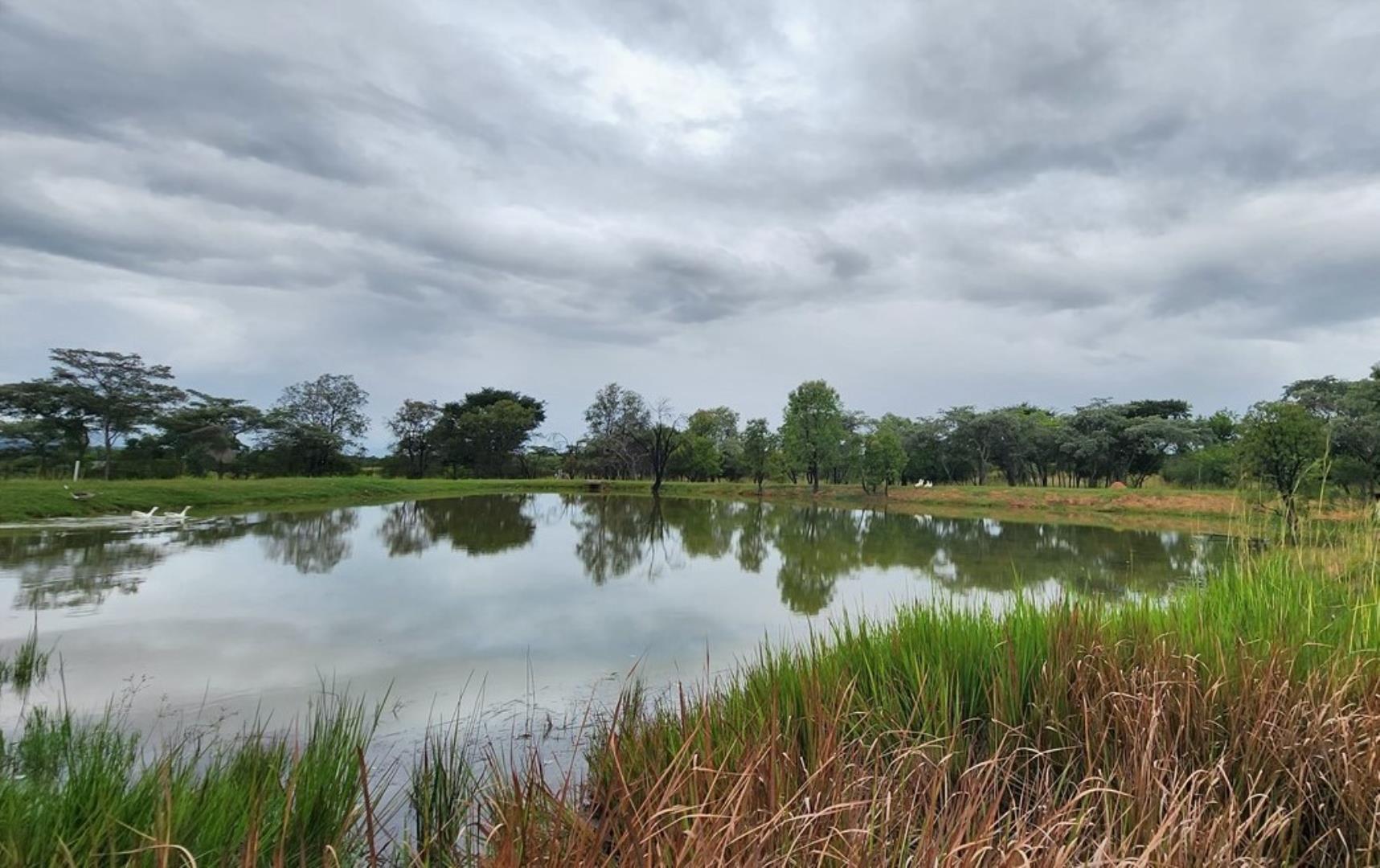 5 Bedroom Game Farm or Lodge for Sale - Limpopo