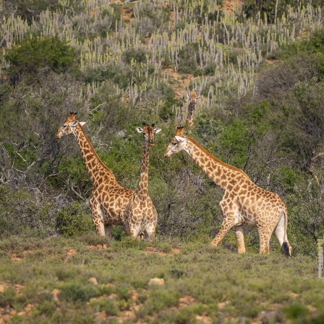 752875_64.jpg