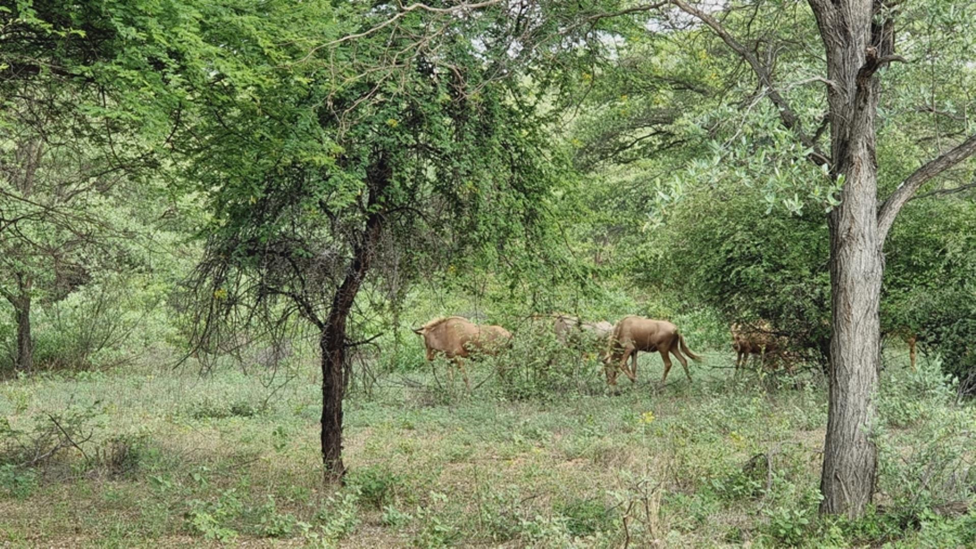 753453_24.jpg