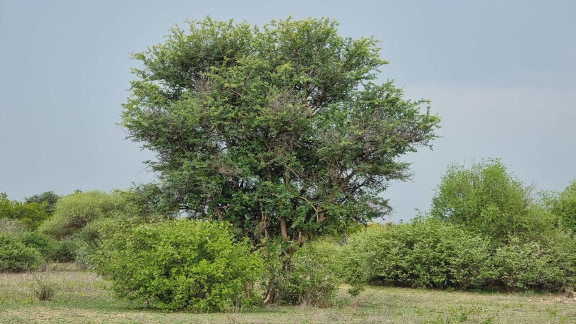 753453_32.jpg