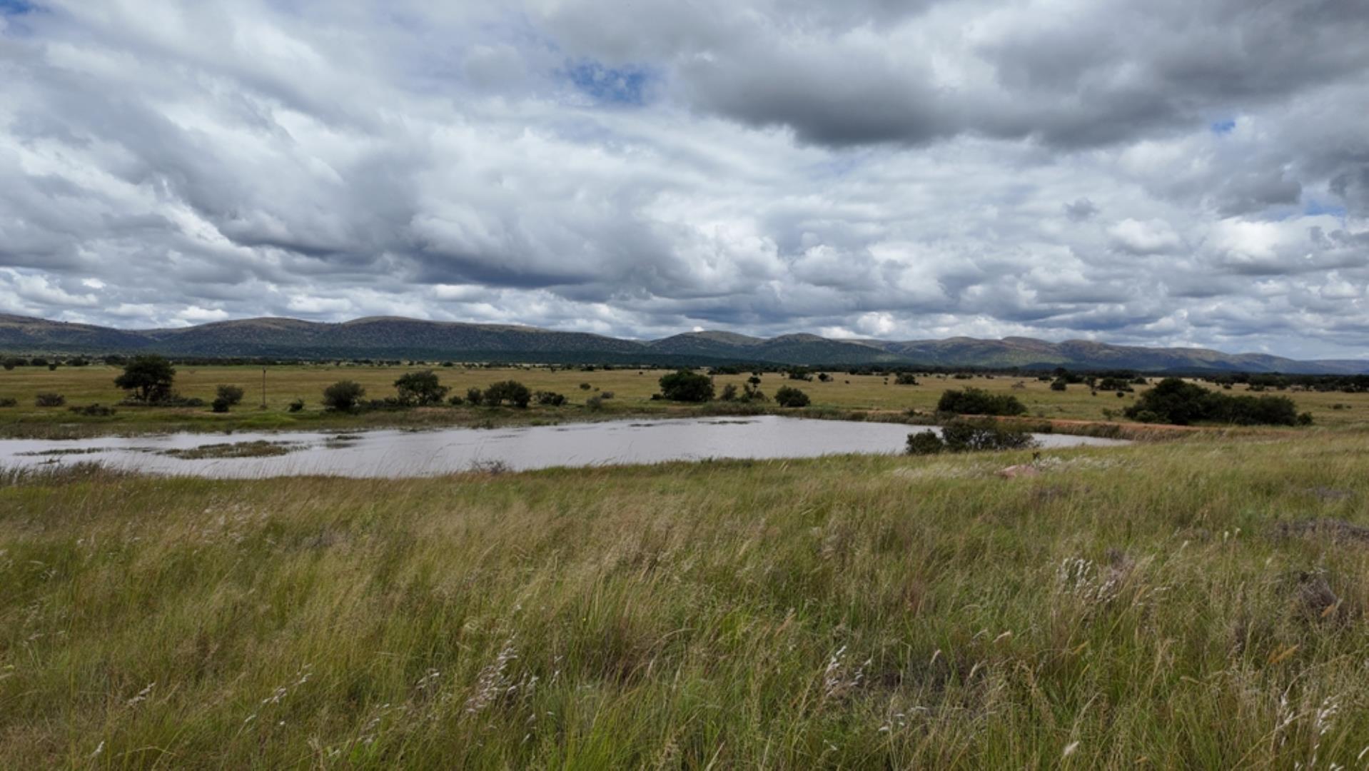 753503_Game_Farm_FOR_SALE_Naboomspruit_352_(10).jpeg